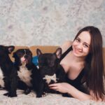 French Bulldog Puppies for Sale in Atlanta