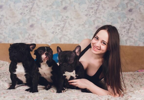French Bulldog Puppies for Sale in Atlanta