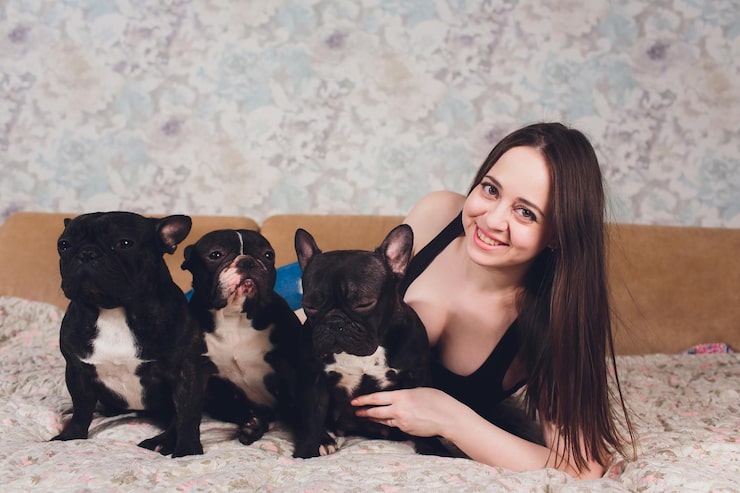 French Bulldog Puppies for Sale in Atlanta