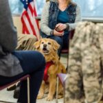 ESA Letter Online: Everything You Need to Know Before Applying