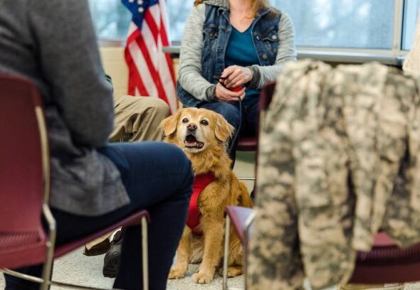 ESA Letter Online: Everything You Need to Know Before Applying