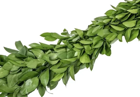 Flowers For Weddings