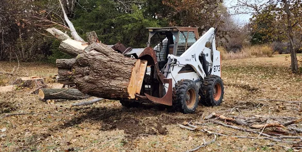 tree removal