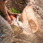 Creating Attractive and Functional Landscapes