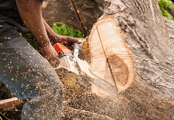 Creating Attractive and Functional Landscapes